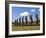 Ahu Tongariki, Tongariki Is a Row of 15 Giant Stone Moai Statues, Rapa Nui, Chile-Gavin Hellier-Framed Photographic Print