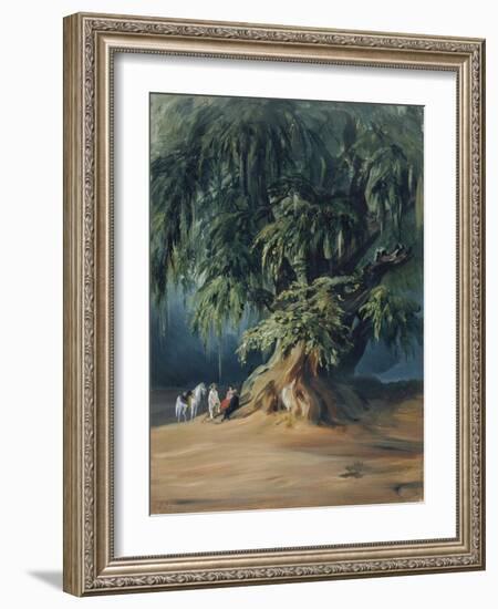 Ahuehuete Tree-Johann Moritz Rugendas-Framed Giclee Print