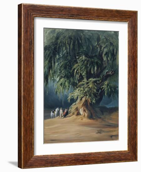 Ahuehuete Tree-Johann Moritz Rugendas-Framed Giclee Print