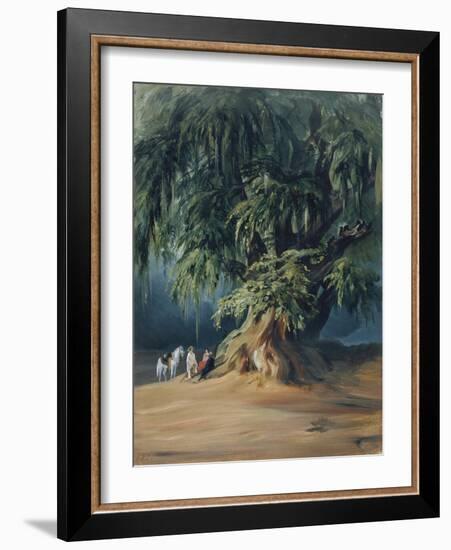 Ahuehuete Tree-Johann Moritz Rugendas-Framed Giclee Print