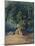 Ahuehuete Tree-Johann Moritz Rugendas-Mounted Giclee Print