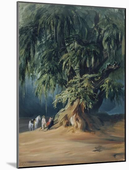 Ahuehuete Tree-Johann Moritz Rugendas-Mounted Giclee Print