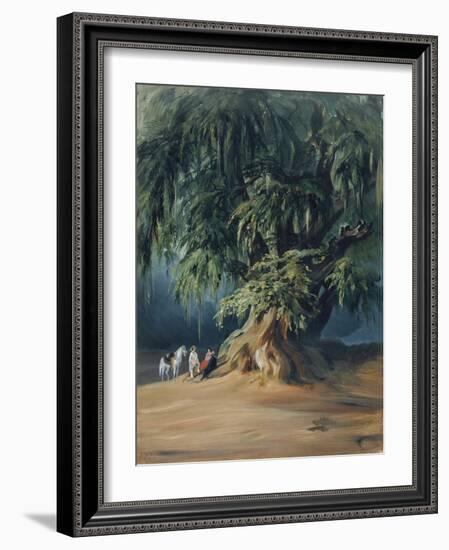 Ahuehuete Tree-Johann Moritz Rugendas-Framed Giclee Print