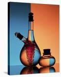 Oil And Vinegar-Aida Ianeva-Giclee Print