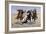 Aiding a Comrade, 1890-Frederic Sackrider Remington-Framed Giclee Print