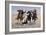 Aiding a Comrade, 1890-Frederic Sackrider Remington-Framed Giclee Print