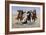 Aiding a Comrade, 1890-Frederic Sackrider Remington-Framed Giclee Print