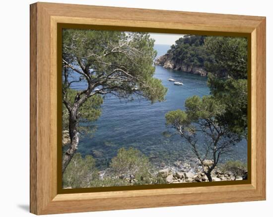 Aiguablava, Costa Brava, Catalonia, Spain-Sheila Terry-Framed Premier Image Canvas