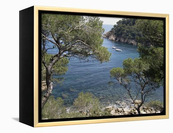 Aiguablava, Costa Brava, Catalonia, Spain-Sheila Terry-Framed Premier Image Canvas