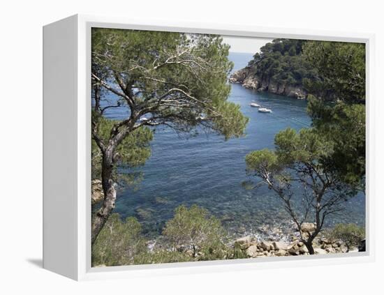 Aiguablava, Costa Brava, Catalonia, Spain-Sheila Terry-Framed Premier Image Canvas