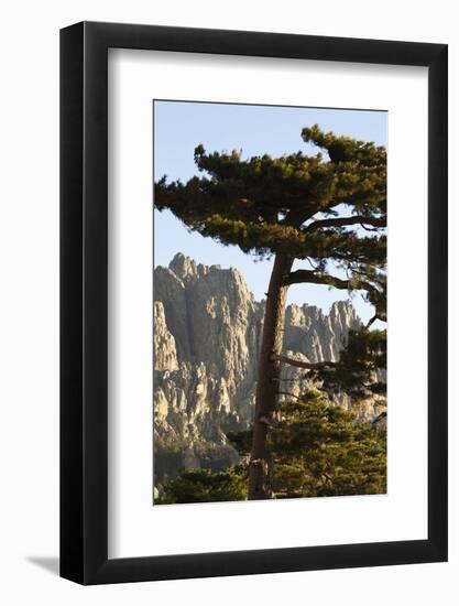 Aiguilles De Bavella Peaks, La Alta Rocca, Corsica, France-Walter Bibikow-Framed Photographic Print