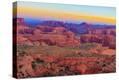 Stretched Canvas Print
