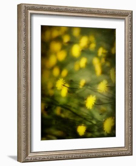 Aijo-Sharon Wish-Framed Photographic Print