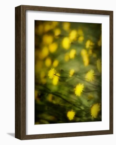 Aijo-Sharon Wish-Framed Photographic Print