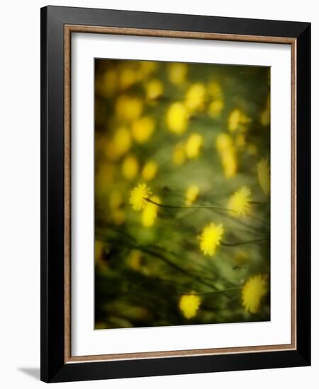 Aijo-Sharon Wish-Framed Photographic Print