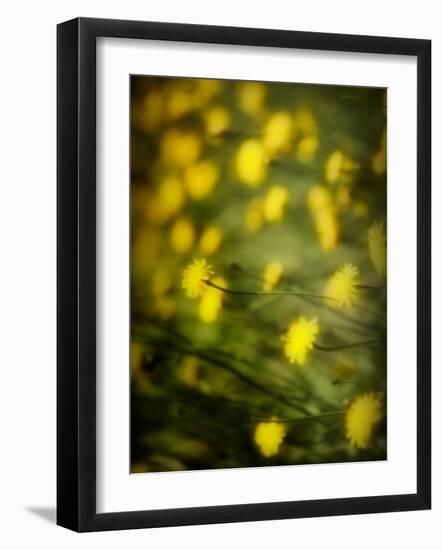 Aijo-Sharon Wish-Framed Photographic Print