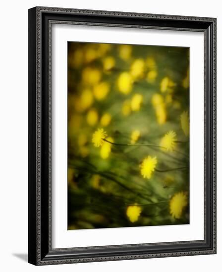 Aijo-Sharon Wish-Framed Photographic Print