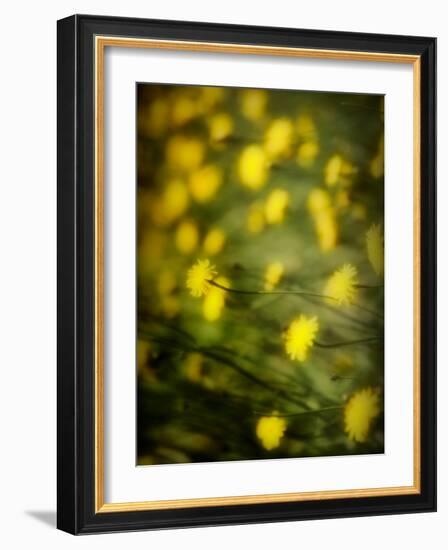 Aijo-Sharon Wish-Framed Photographic Print