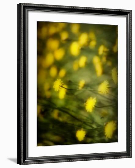 Aijo-Sharon Wish-Framed Photographic Print