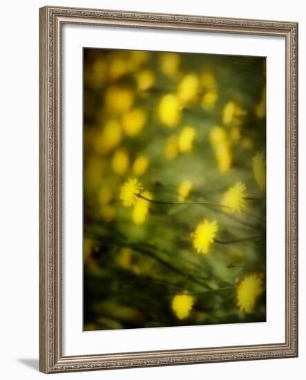 Aijo-Sharon Wish-Framed Photographic Print