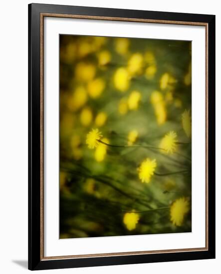 Aijo-Sharon Wish-Framed Photographic Print