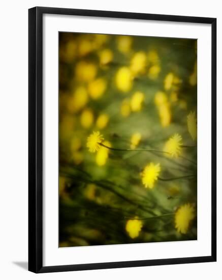 Aijo-Sharon Wish-Framed Photographic Print