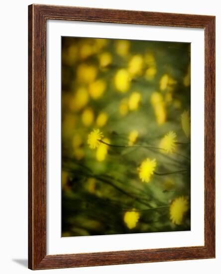 Aijo-Sharon Wish-Framed Photographic Print