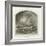 Ailsa Craig-null-Framed Giclee Print