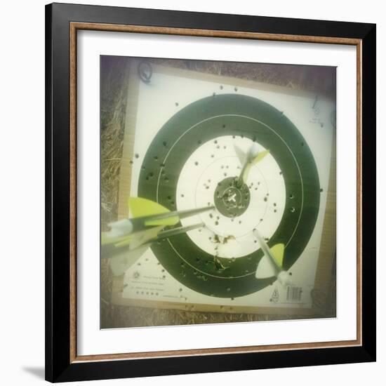 Aim and Try Again-Amy Melious-Framed Art Print