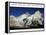 Aim High: Mt Everest-AdventureArt-Framed Premier Image Canvas