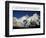 Aim High: Mt Everest-AdventureArt-Framed Photographic Print