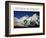 Aim High: Mt Everest-AdventureArt-Framed Photographic Print