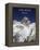 Aim High - Mt Everest-AdventureArt-Framed Premier Image Canvas