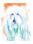 Sheep Dog-Aimee Del Valle-Art Print