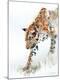 Premium Giclee Print