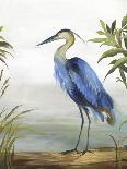 Blue Heron-Aimee Wilson-Art Print