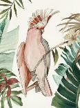 Tropical Bird I-Aimee Wilson-Art Print