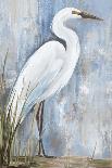 Little Blue Heron-Aimee Wilson-Art Print