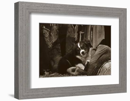 Ain’t I Cute-Barry Hart-Framed Art Print