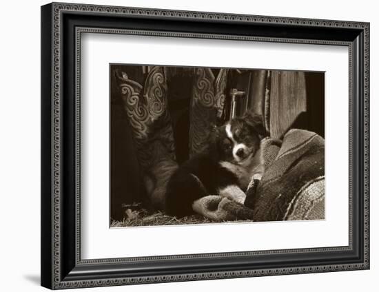 Ain’t I Cute-Barry Hart-Framed Art Print