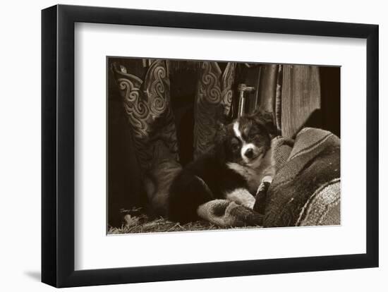 Ain’t I Cute-Barry Hart-Framed Art Print