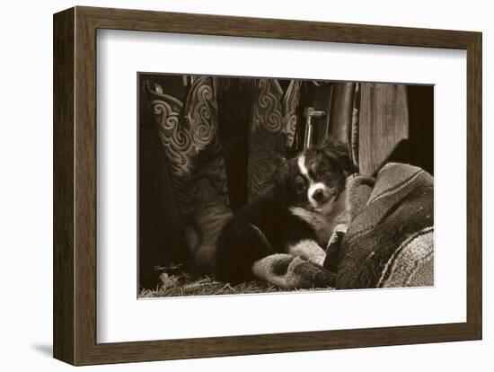 Ain’t I Cute-Barry Hart-Framed Art Print