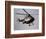 Air Ambulance, Dunedin, South Island, New Zealand-David Wall-Framed Photographic Print