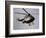 Air Ambulance, Dunedin, South Island, New Zealand-David Wall-Framed Photographic Print