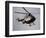 Air Ambulance, Dunedin, South Island, New Zealand-David Wall-Framed Photographic Print