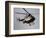 Air Ambulance, Dunedin, South Island, New Zealand-David Wall-Framed Photographic Print