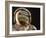 Air and Space: Apollo Helmet Visor reflecting the 1903 Wright Flyer-null-Framed Photographic Print