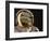 Air and Space: Apollo Helmet Visor reflecting the 1903 Wright Flyer-null-Framed Photographic Print