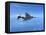 Air and Space: McDonnell Douglas F-4 Phantom II-null-Framed Premier Image Canvas