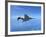 Air and Space: McDonnell Douglas F-4 Phantom II-null-Framed Photographic Print